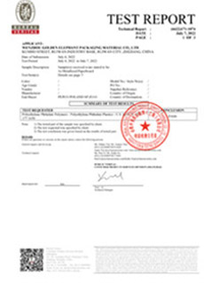 TEST REPORT